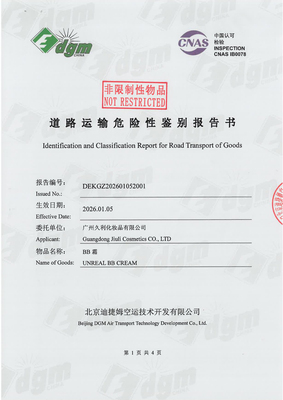 Road Transport Identification & Classification Report